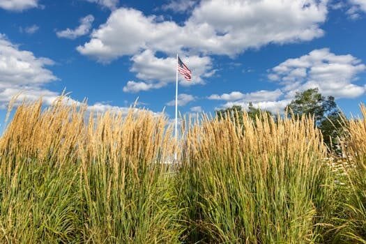 Documentos para la nacionalidad española: 5 errores comunes que debes evitar 4 Documentos para la nacionalidad española: 5 errores comunes que debes evitar