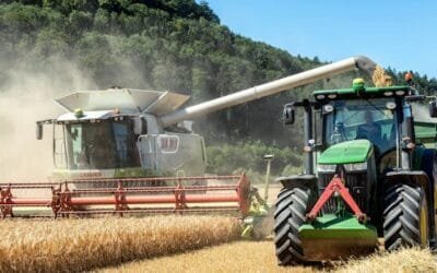 Cómo pedir arraigo laboral en línea en España