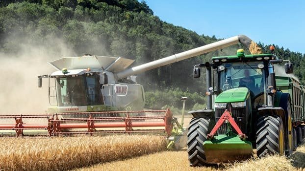 como-pedir-arraigo-laboral-en-linea-en-espana