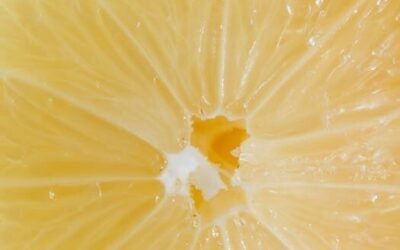 Dónde tomar un buen pisco sour en Madrid